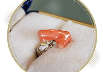 珊瑚のイメージ写真