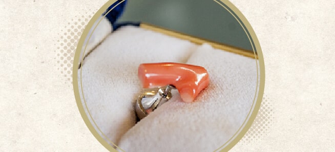 珊瑚のイメージ写真