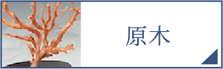 原木（スマホ）